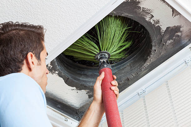Best Ductwork Cleaning Services  in West Branch, MI