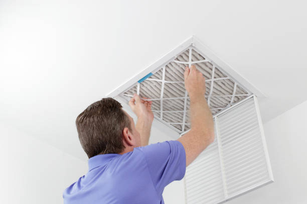 Best Affordable Duct Cleaning Services  in West Branch, MI